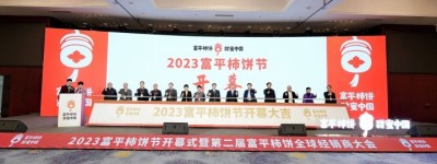 富平柿饼 甜蜜中国——2023富平柿饼节暨第二届富平柿饼全球经销商大会隆重开幕！