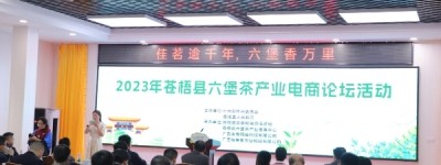 2023年苍梧县六堡茶产业电商论坛：探讨六堡茶产业电商发展之路