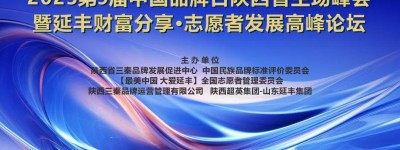 2025第九届中国品牌日陕西省主场峰会圆满成功召开
