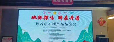 地标相汇赋新韵 临潼石榴香满长安——中国地标节西安站品鉴交流会圆满举行