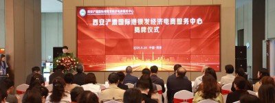 西安浐灞国际港银发经济电商服务中心正式启航