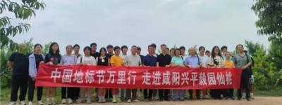 中国地标节万里行走进咸阳兴平毅园仙桃：共绘乡村振兴新图景