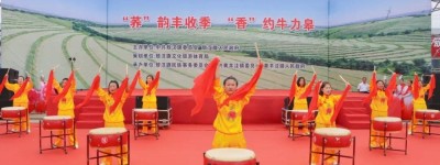 第九届敖汉・牛力皋荞麦节在黄羊洼镇盛大开幕