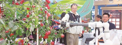 咸阳200多种特色农产品在第三十三届农高会上备受关注