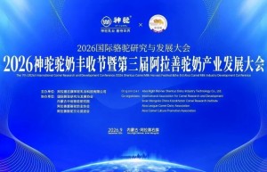 天籁赴盛会 歌声助振兴｜最美女中音歌唱家索伦嘎受邀放歌2026国际骆驼研究与发展大会