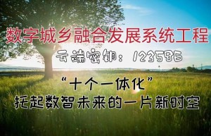 让我们合力开启数字城乡融合发展系统工程的云端密钥“1”