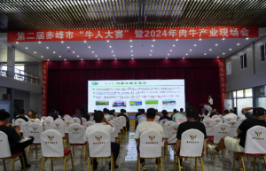 第二届赤峰市“牛人大赛”暨2024年肉牛产业现场会盛大召开
