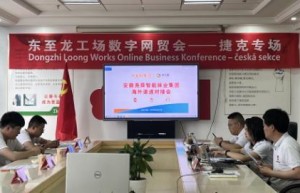 大龙网成功举办捷克-东至龙工场数字贸易洽谈会