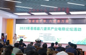 2023年苍梧县六堡茶产业电商论坛：探讨六堡茶产业电商发展之路