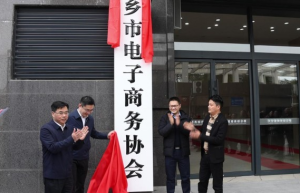 萍乡市电子商务协会成立大会举行