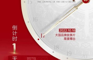 大国品牌帅丰集成灶霸屏央视绽放品牌魅力