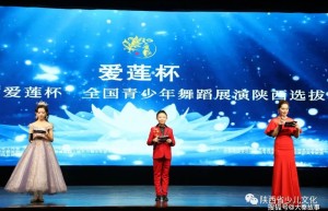 著名书法家冯国贤先生为第八届“爱莲杯”陕西青少年舞蹈展演题字祝福