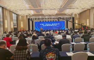 中国(河北)县域经济高质量发展论坛暨中国品牌日—好品牌好民星荣耀盛典石家庄举行