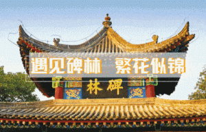 央媒官媒齐点赞，活动曝光超百万！碑林区这场文博活动火出圈啦！