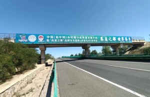 百位书画艺术家为“荞麦之都”品牌与《荞麦花开》发布会题字赋能