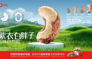 引领行业17年，良品铺子：价格要亲民、品质要稳定