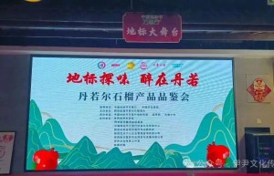 地标相汇赋新韵 临潼石榴香满长安——中国地标节西安站品鉴交流会圆满举行