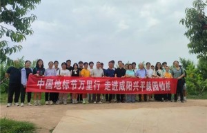 中国地标节万里行走进咸阳兴平毅园仙桃：共绘乡村振兴新图景