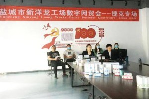 大龙网成功举办捷克-盐城新洋龙工场数字贸易洽谈会
