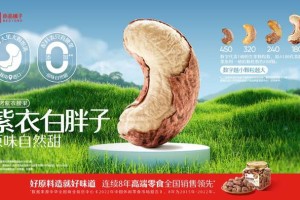 引领行业17年，良品铺子：价格要亲民、品质要稳定