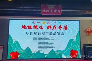 地标相汇赋新韵 临潼石榴香满长安——中国地标节西安站品鉴交流会圆满举行