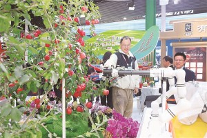 咸阳200多种特色农产品在第三十三届农高会上备受关注