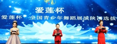 著名书法家冯国贤先生为第八届“爱莲杯”陕西青少年舞蹈展演题字祝福