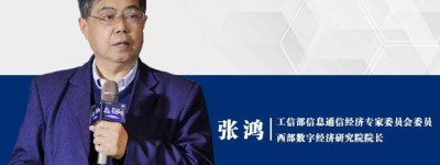 专家谈丨张鸿:如何补齐陕西数字经济的四点短板?